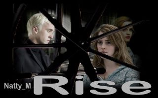 Rise