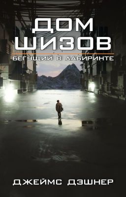 Дом шизов