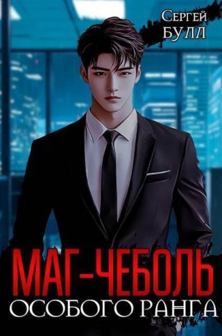 Маг-чеболь особого ранга