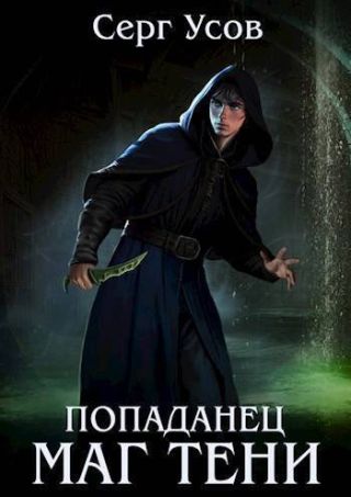 Попаданец. Маг Тени. Книга 8