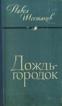 Дождь-городок